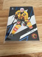 Sportzoo Playoffs 25/26 SCB SC Bern Rhyn blue /60