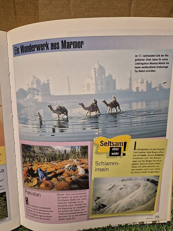 Libri: Geografie-Buch – Usato da Zürich venduto da RaffaelaT 4