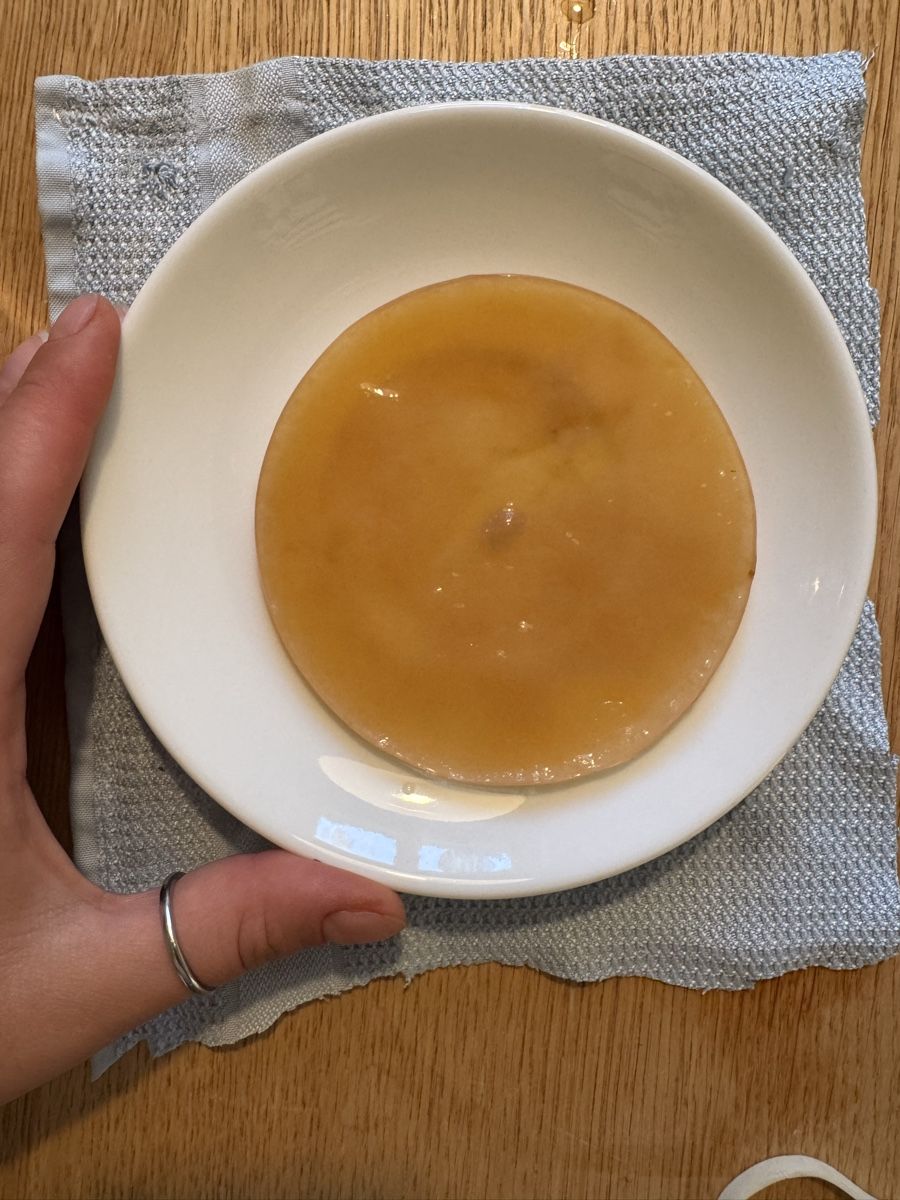 Cibi & Specialità: Kombucha Pilz SCOBY + 150ml Starterflüssigkeit – Nuovo (secondo la descrizione) da Rikon im Tösstal venduto da Helloylenia