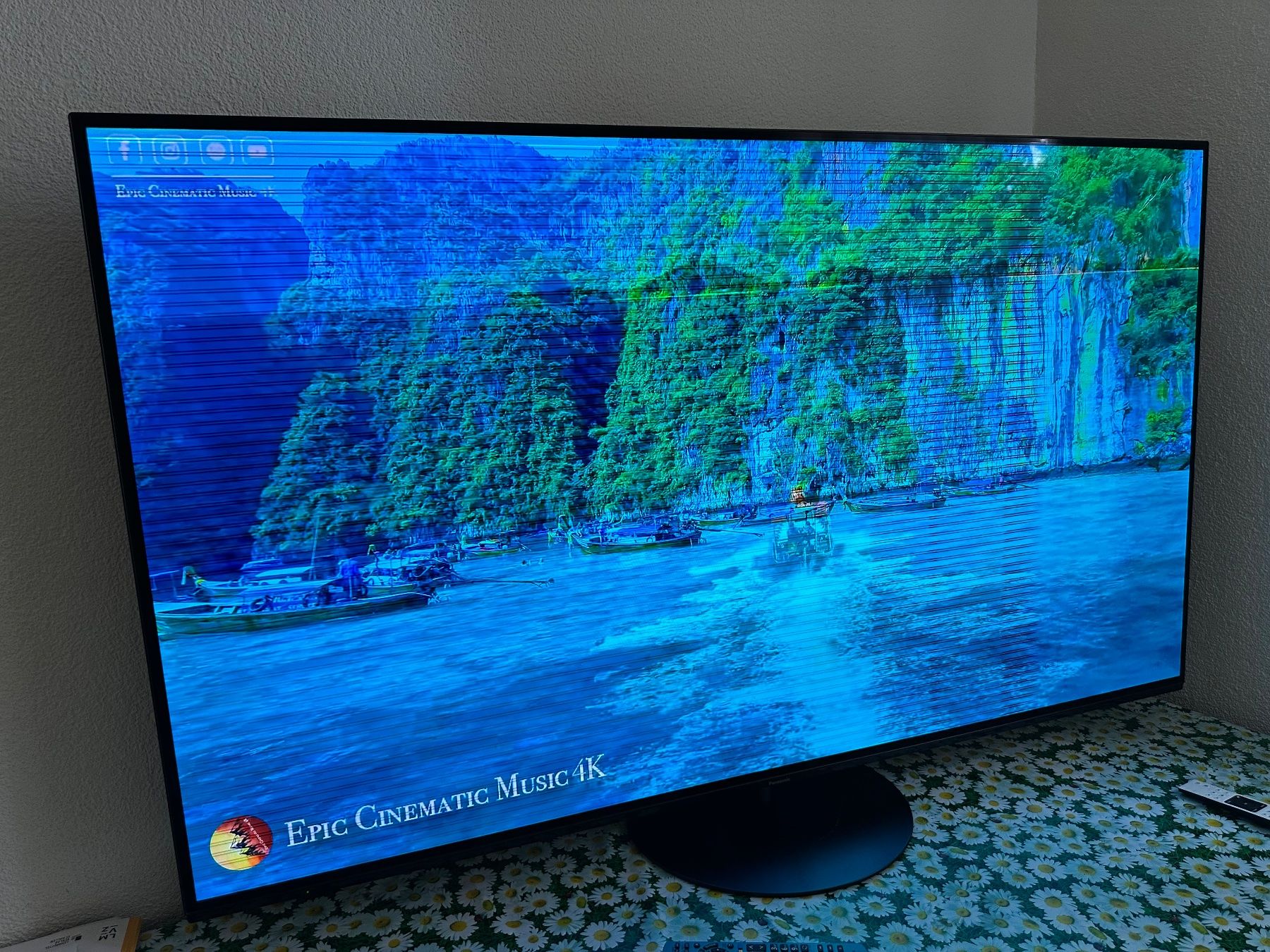 Panasonic Televisori: Panasonik  65 zoll Oled. – Usato da Kilchberg ZH venduto da dion06 6