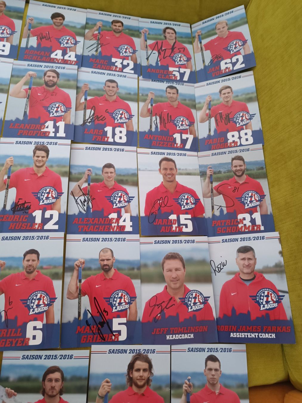 Autografi: 30x Rapperswil-Lakers 2015/2016 - handsigniert – Usato da Menziken venduto da Artographs 2
