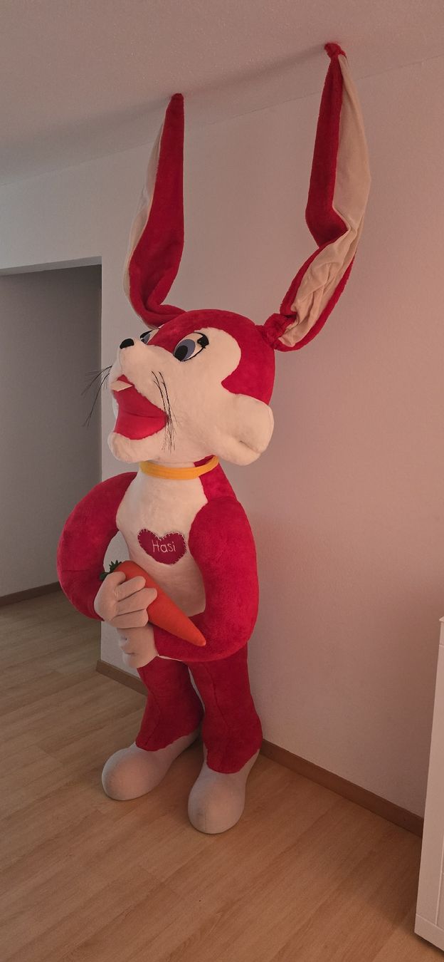 Jouets: XXL Hase  – D'occasion à Ramsen par metavision92 1
