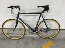 Carrera Rennvelo, Top Zustand, Sofort Fahrbereit!