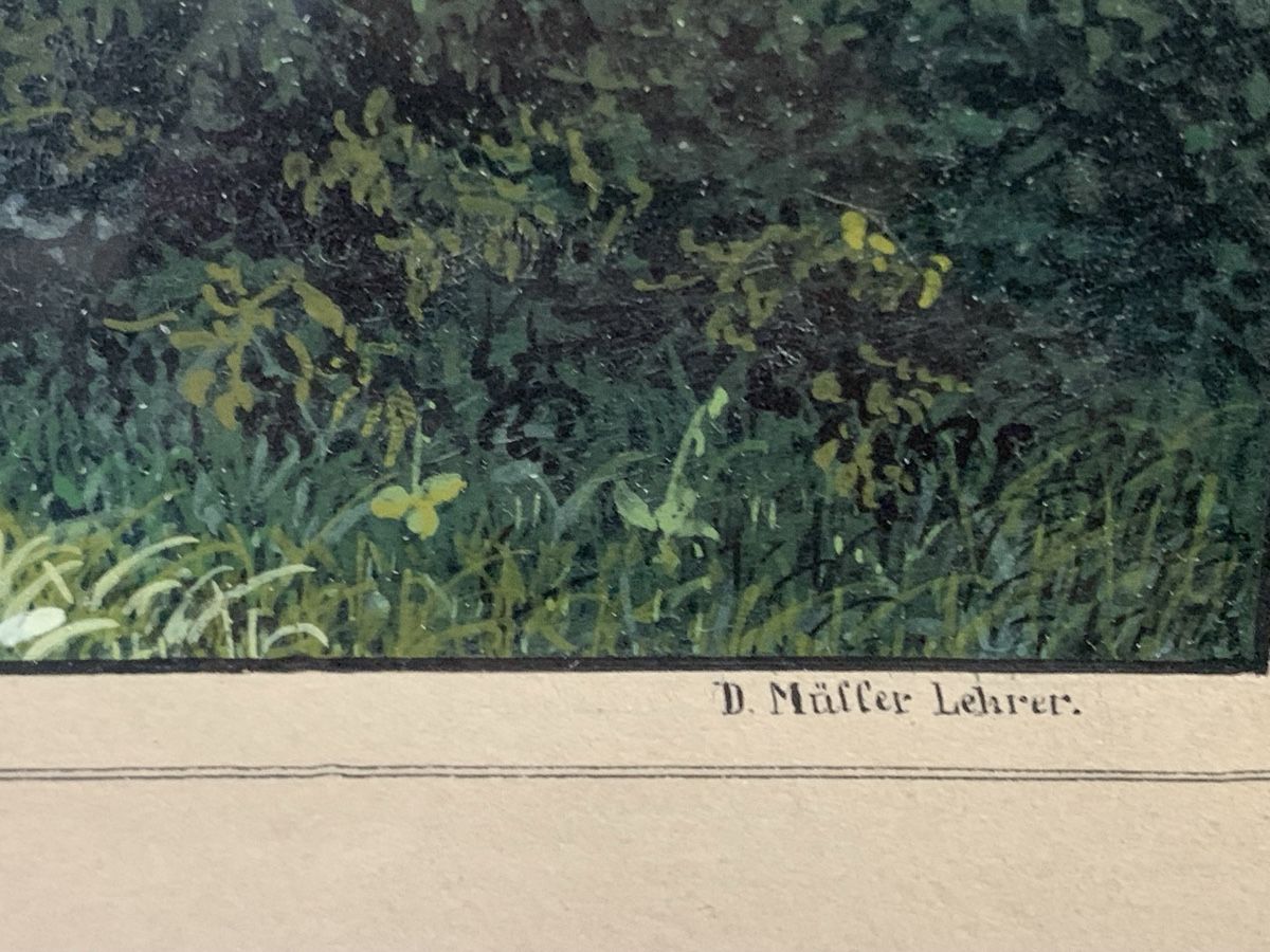 Dipinti: Tägerwilen D. Müller Lehrer Gouache – Usato da Wolfhalden venduto da SecondAntique 4