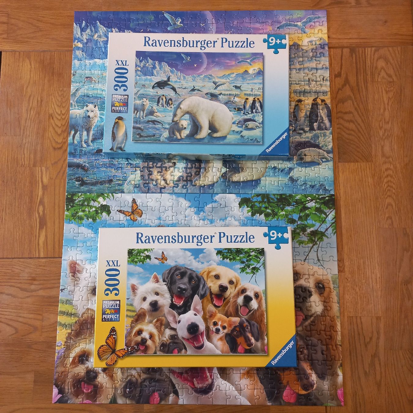Ravensburger Puzzles: Ravensburger Puzzle 2×300 pièces  – Neu (gemäss Beschreibung) aus Dompierre FR von fat_xth5