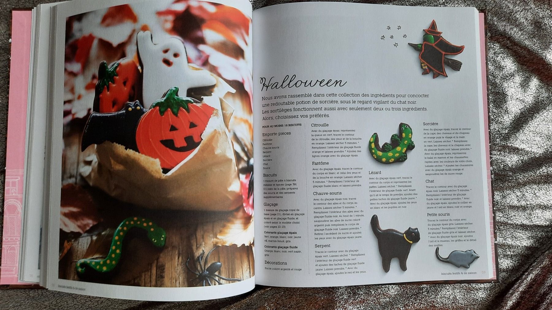 Libri: Mon atelier de biscuits décorés – Usato da Lausanne venduto da BrigitteAnne 4