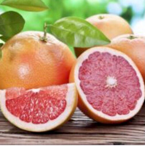 Pflanzen & Samen: 10 Samen Rote Grapefruit STAR RUBY "Citrus Paradisi" – Neu und originalverpackt aus Rovio von POSITIFFARTandPLANTS 4