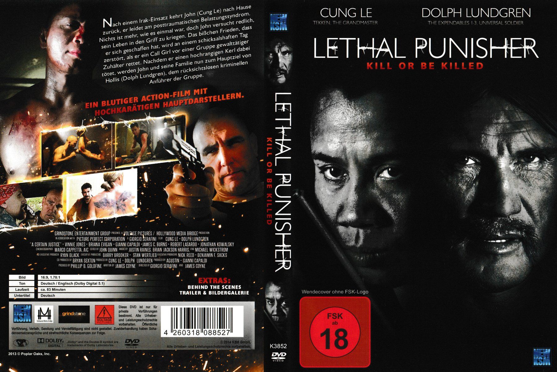 Tutti i DVDs: DVD - Lethal Punisher: Kill or be killed – Usato da Langnau am Albis venduto da MediaRescuerKeLoX