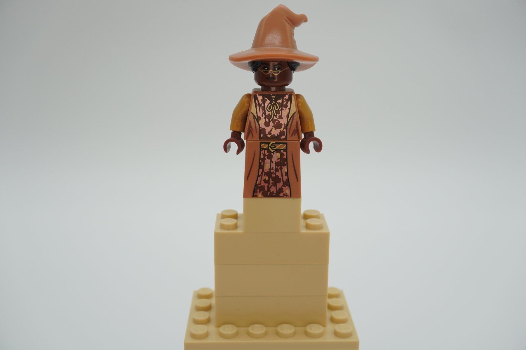 Lego Spielzeuge: Lego Harry Potter Professoren Bundle – Gebraucht aus Zürich von PWRgZ 4
