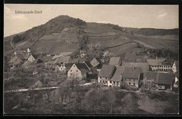 AK Schinznach-Dorf, Gesamtansicht