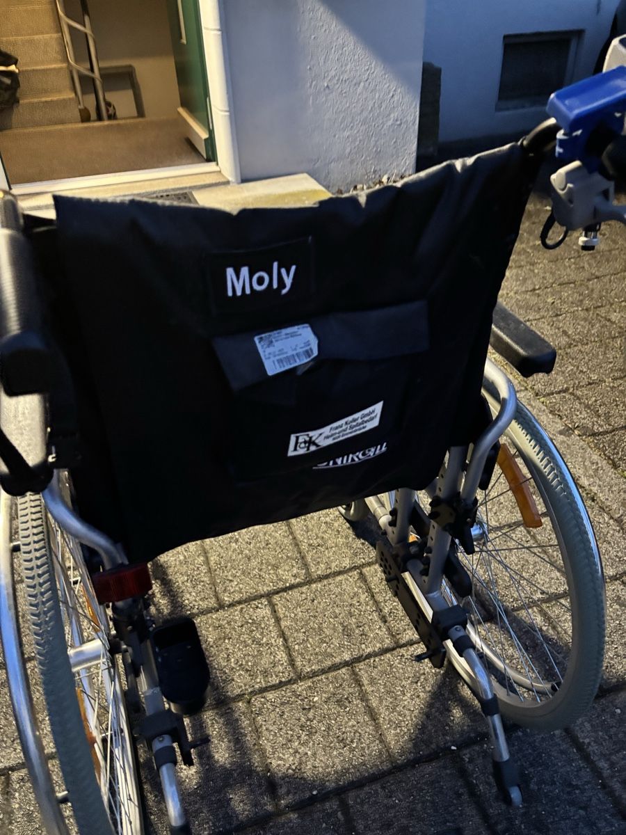 Rollstühle: Rollstuhl Molly mit Schiebe und Bremshilfe Motor – Gebraucht aus Emmen von H.Bettina 3