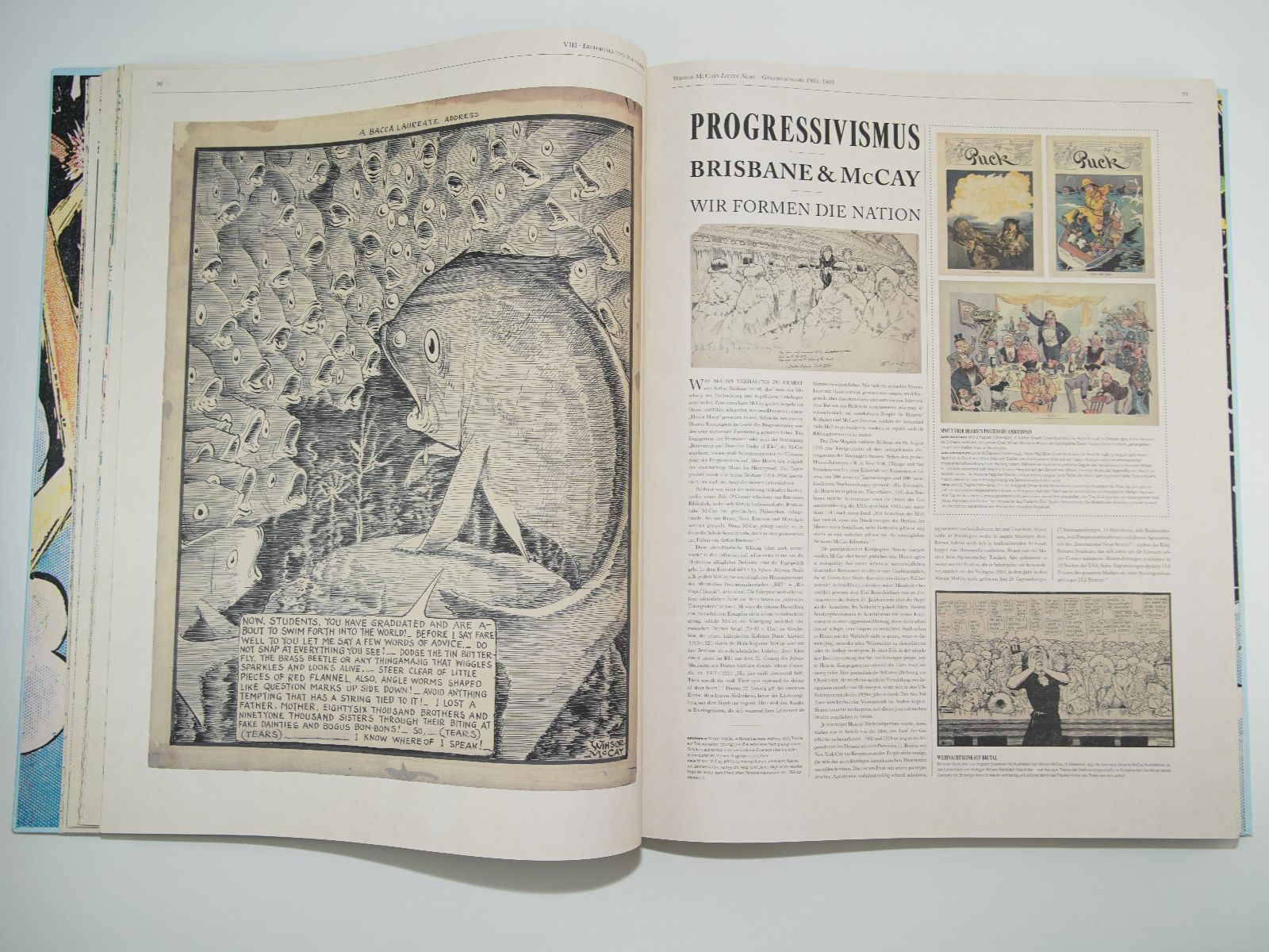 BD: Little Nemo Buch – D'occasion à Wil SG par froschbiss 2