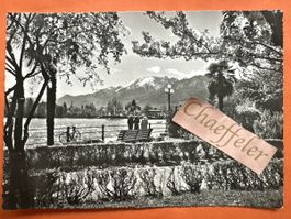 Postkarte Lago Maggiore Primavera Foto Pancaldi Ascona 1954