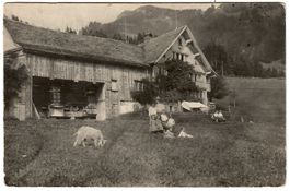 Ansichtskarte Bauernhaus im Toggenburg (Privataufnahme)
