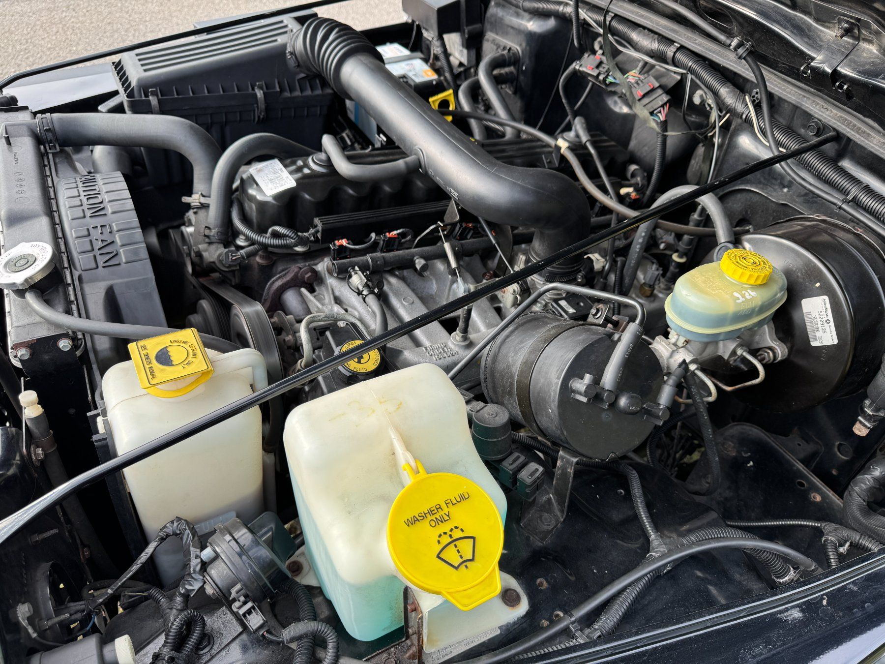 Jeep Automobili: Jeep Wrangler TJ – Usato da Bergdietikon venduto da Cummins 6