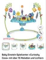 Baby Einstein Türhopser Curiosity Cove ab 6 Monaten