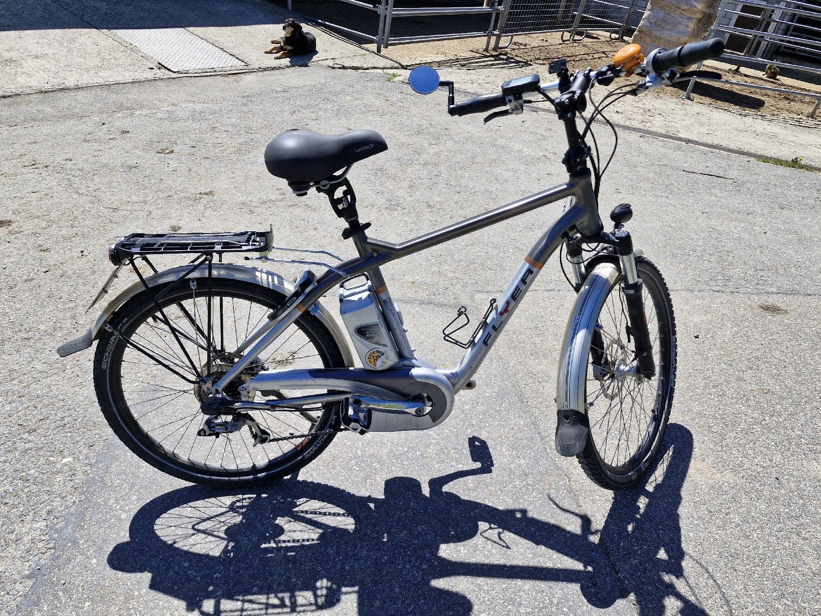 Flyer Biciclette: Flyer hs 45 kmh – Usato da Menzberg venduto da elm_q9ff 1