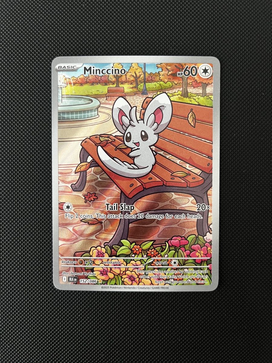Pokémon Carte collezionabili: Minccino BLK 152/086 – Nuovo (secondo la descrizione) da Cham venduto da stellarsky