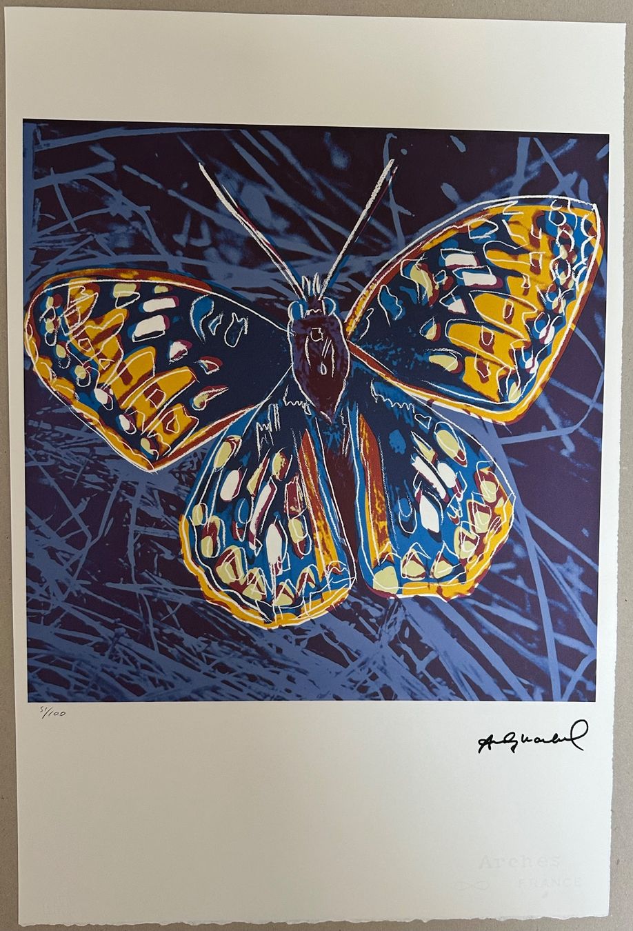 Dipinti: Warhol: Butterfly, POP Art 51/100 – Nuovo (secondo la descrizione) da Meilen venduto da Smgdesign