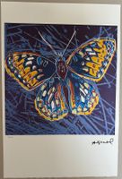 Warhol: Butterfly, POP Art 51/100