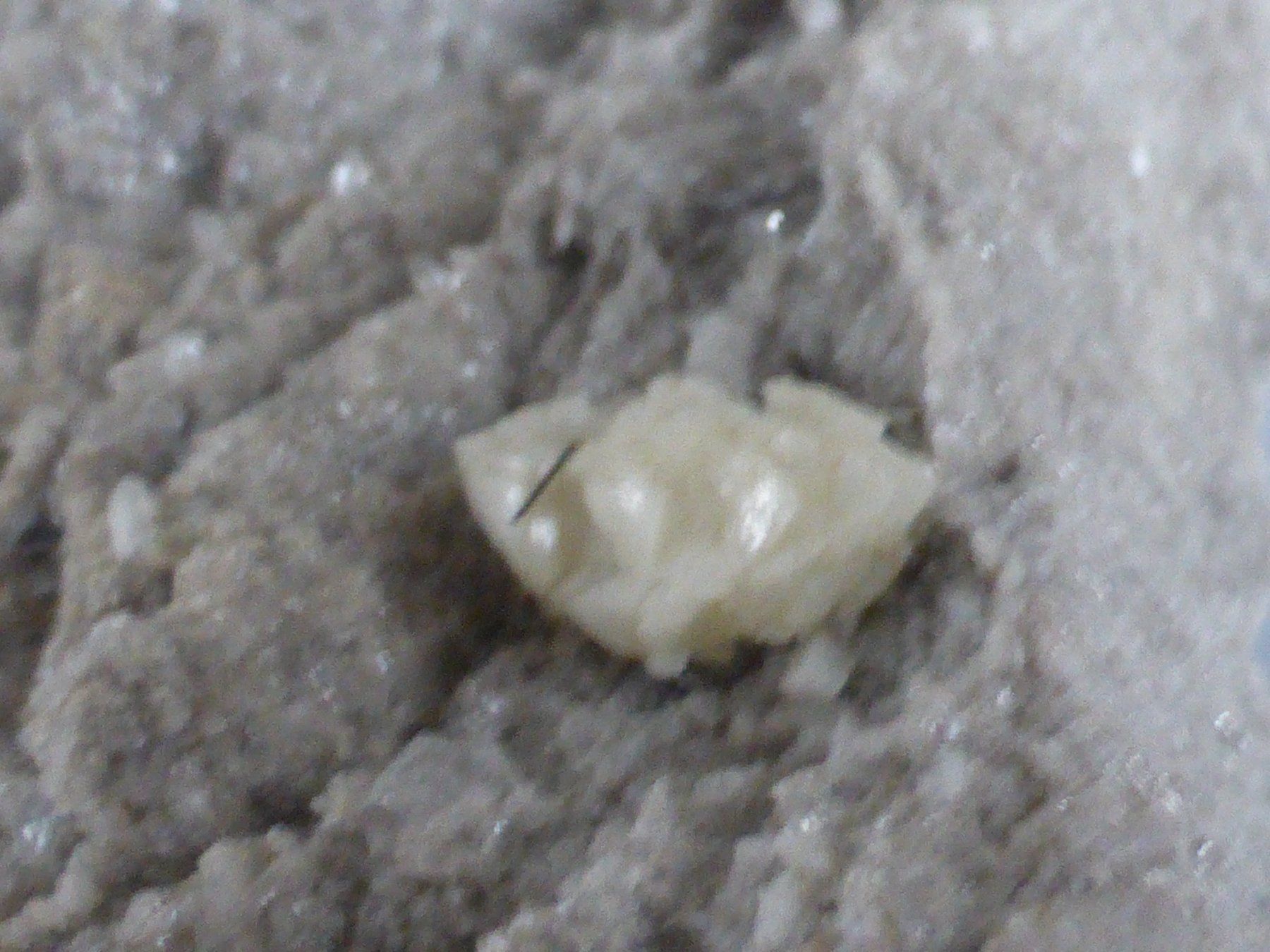 Mineralien & Heilsteine: Kristallstufe: Ankerit, Rutil, Adular bergfrisch! – Gebraucht aus Triengen von Nussbaum14 8