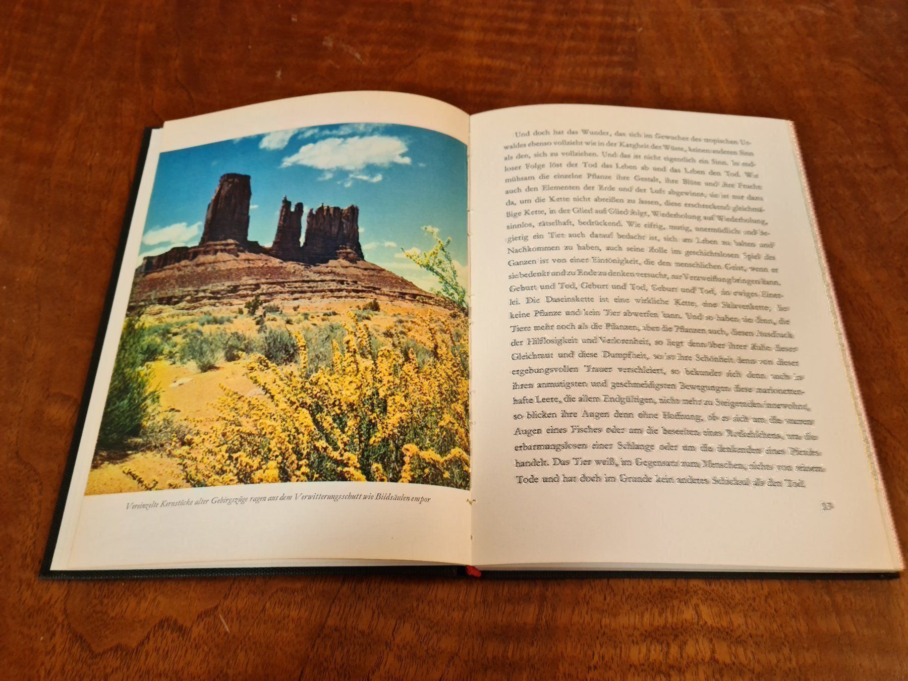 Libri: Die Wüste lebt – Usato da Erstfeld venduto da Uhu1980 3