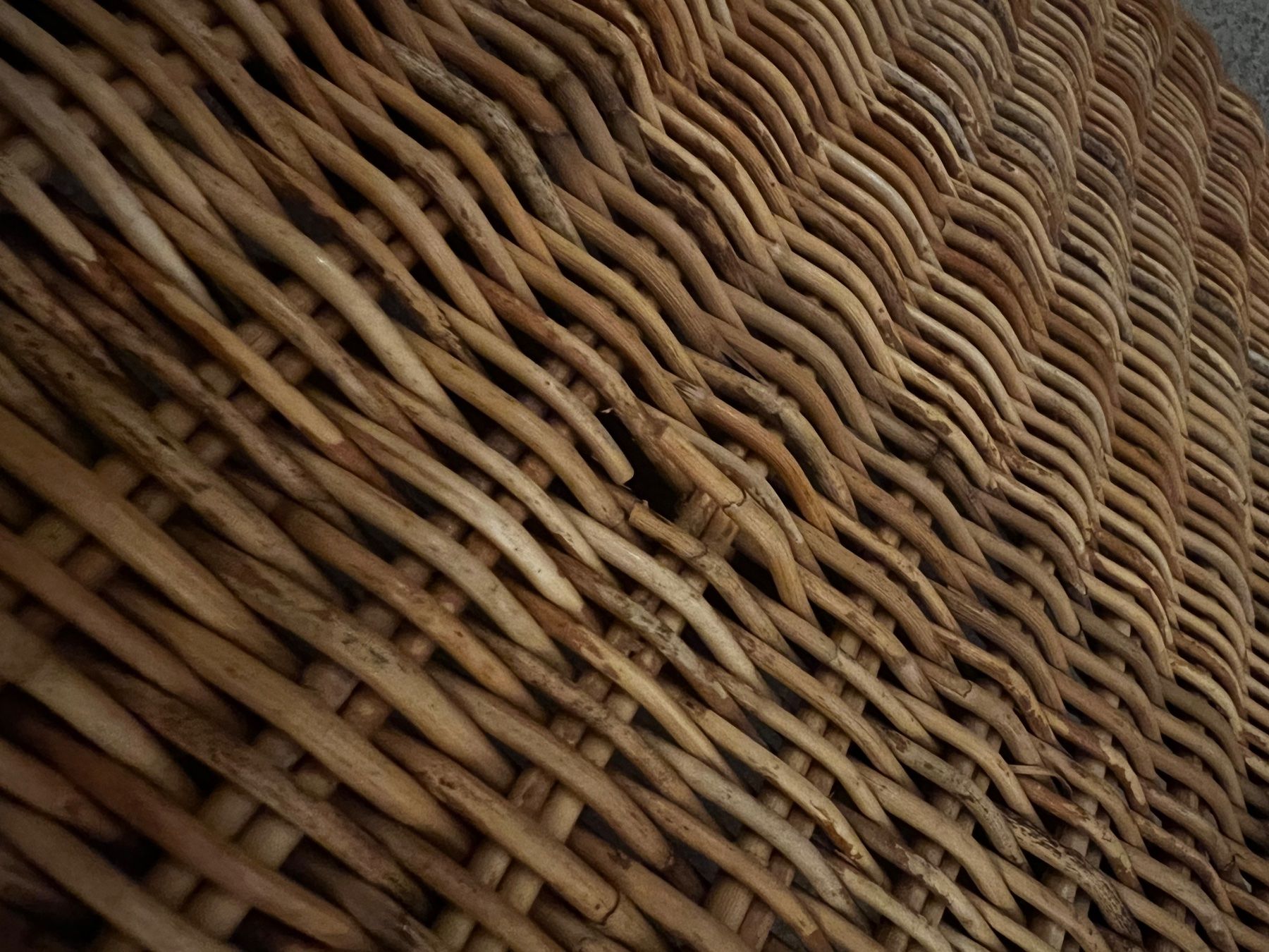 Sedie a sdraio: Rattan-Liege – Usato da Schüpfheim venduto da nik_d82g 1