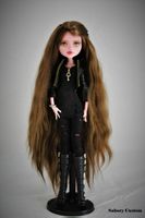 🧚Poupée Monster high customisée par un artiste pièce unique