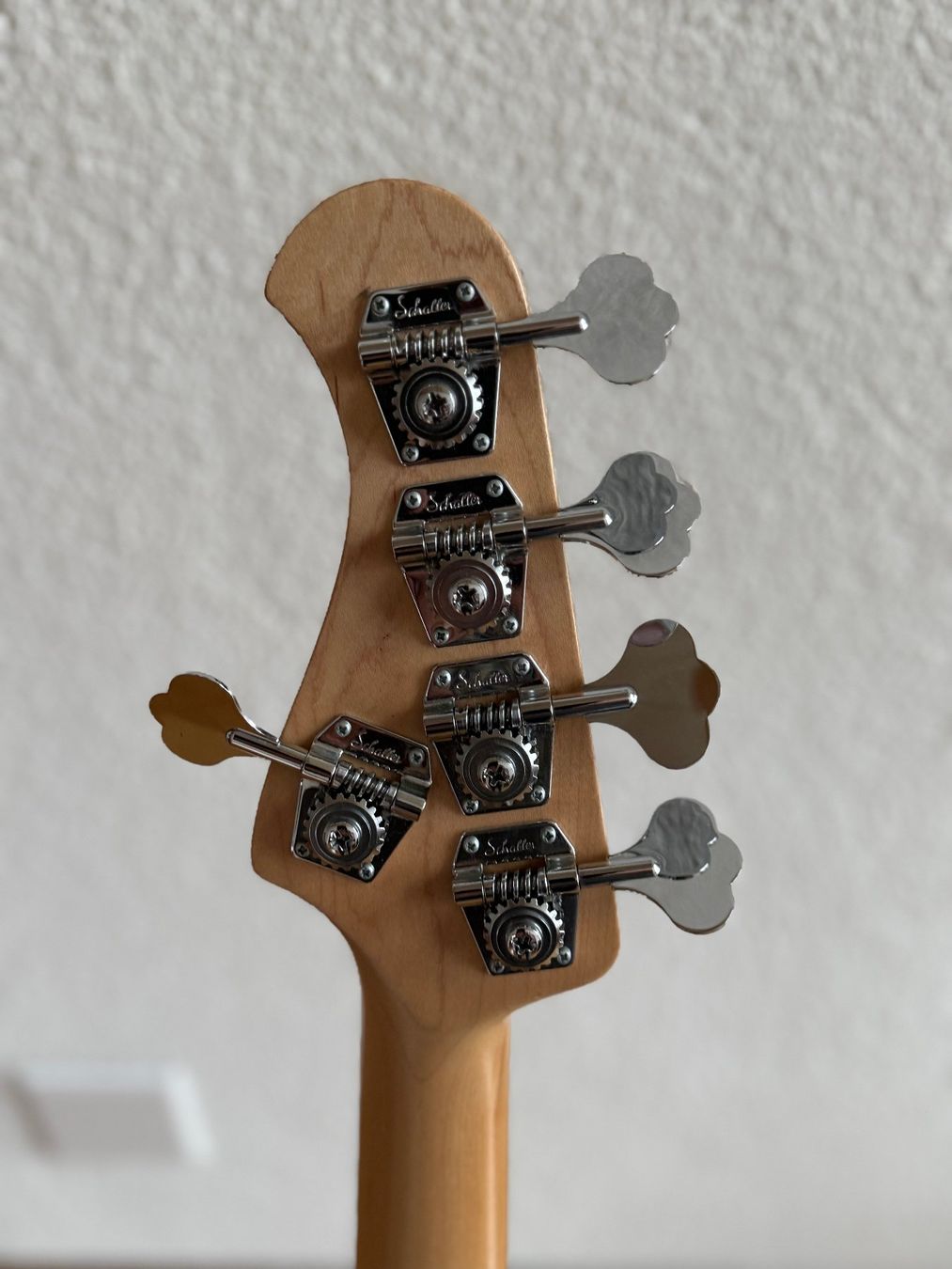 Strumenti musicali: ZOLA 5-String Bass – Usato da Eppenberg venduto da Henryman21 3