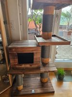 KRATZBAUM WOODY BALKON GARTEN TERASSE WOHNUNG