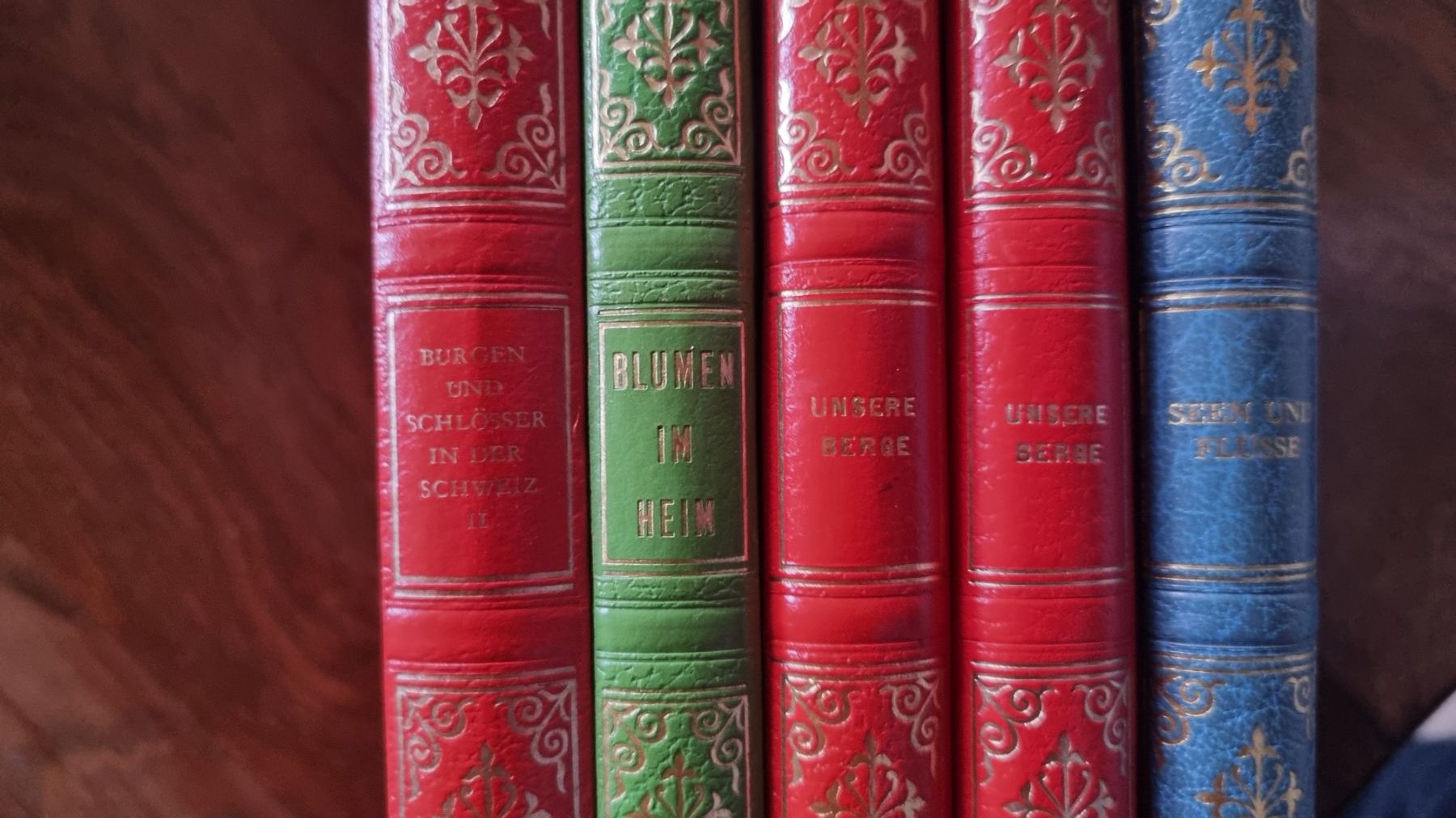 Livres: 5 dekorative, ledergebundene Schweizer Heimatbände – D'occasion à Malters par mat_6102