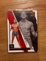 Panini Impeccable WWE Matt Riddle /99