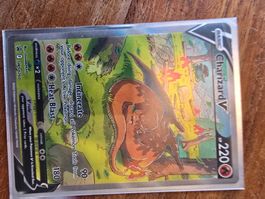 Charizard Sammlung