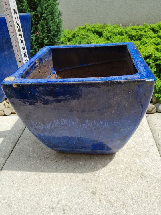 Blumentopf blau Kaufen auf Ricardo