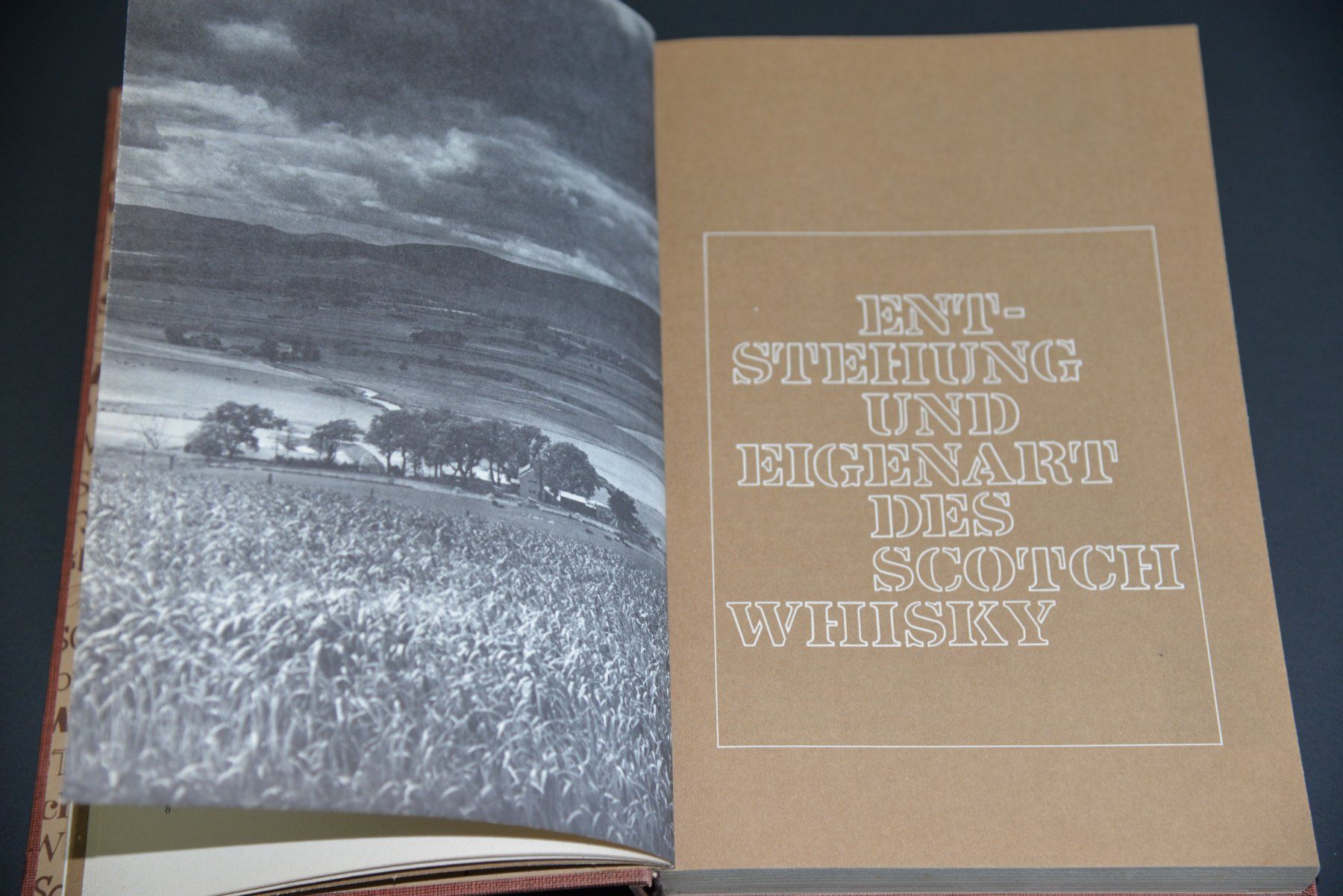 Libri: Scotch Whisky, David Daiches, 1971 – Usato da Lungern venduto da Kammer-Lungern 9