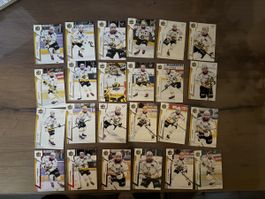 Sportzoo HC Ajoie Serie 1 24/25