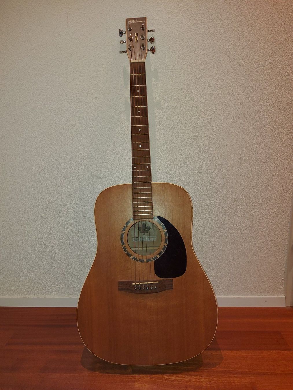 Strumenti musicali: Westerngitarre Norman B20 (6) – Usato da Cham venduto da Roli692 5
