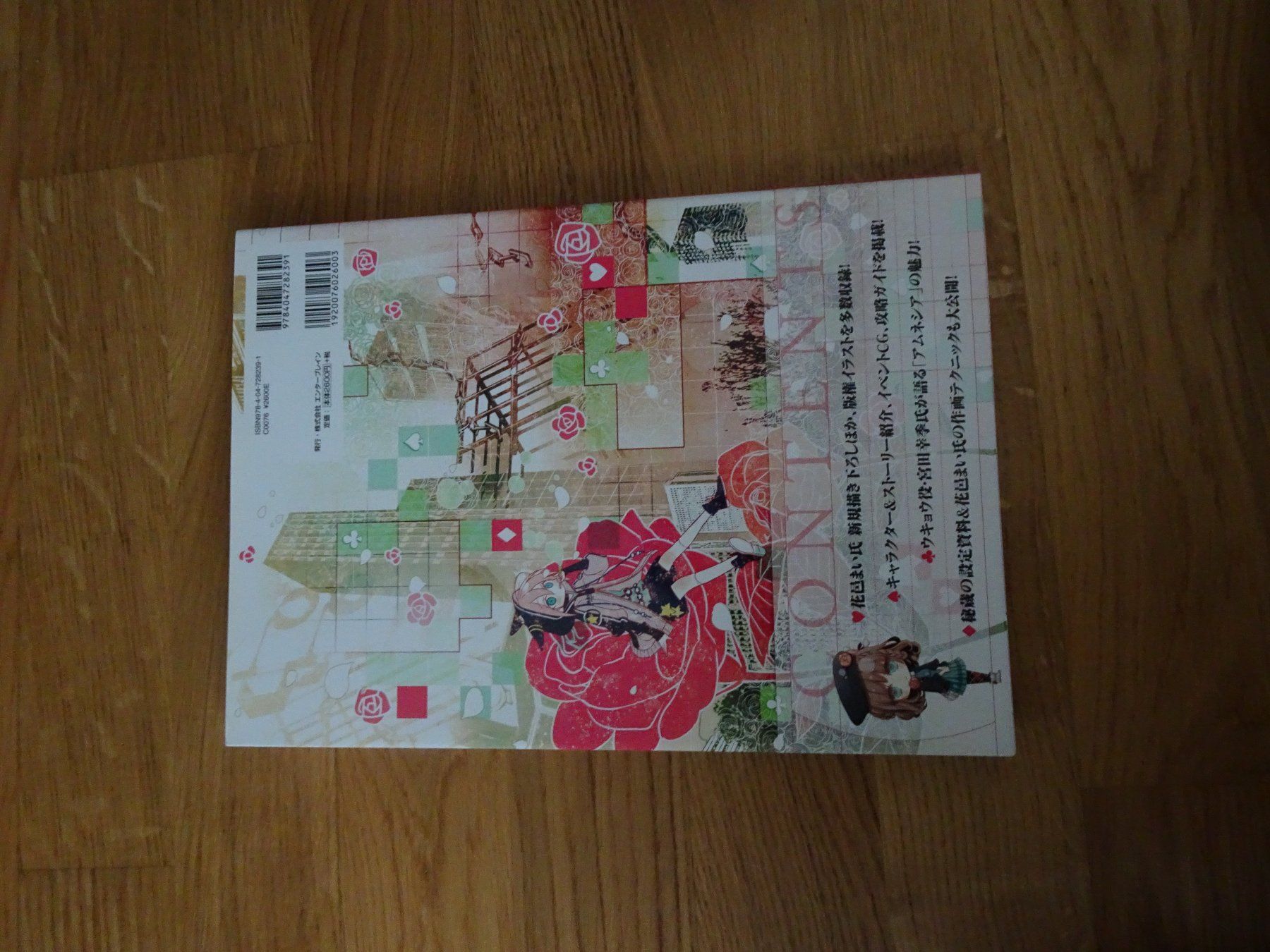 Libri: Amnesia Official Visual Fanbook Artbook – Usato da Bern venduto da Maronn 2