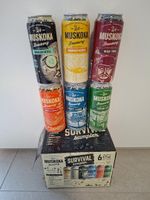 6 x Muskoka Bier Dosen (leere)
