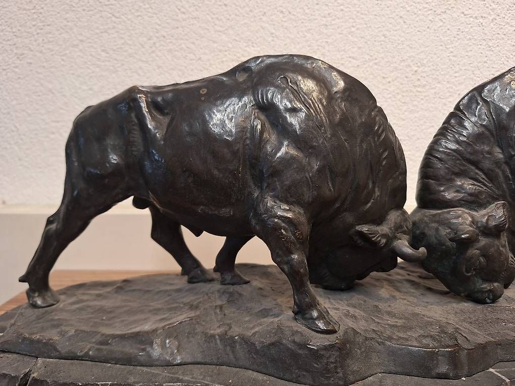 Sculture & Statue: Bronzeskulptur Milo' Bull Bronze – Usato da Urdorf venduto da LKUUrdorf 1