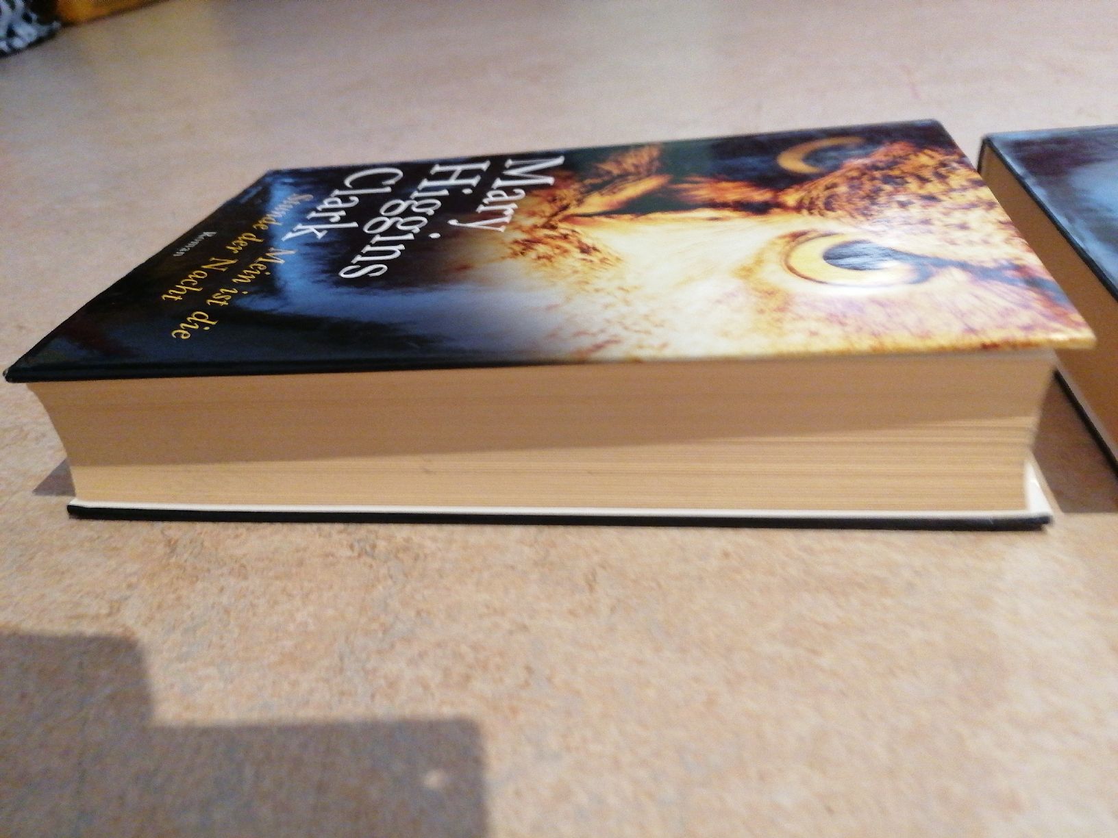 Libri: 3 Thriller Bücher Mary Higgins Clark – Usato da Klingnau venduto da vollmond36 4