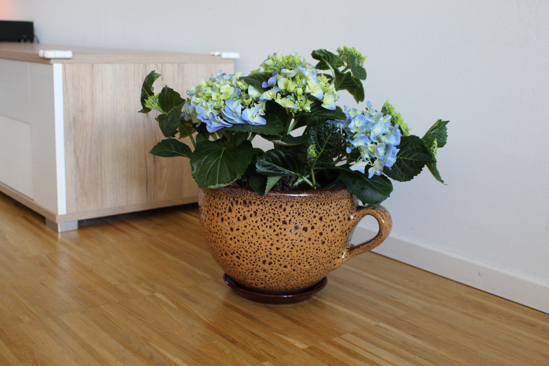 Vasi per fiori: Blumentopf/Pflanzentopf/Tontopf "Tasse" – Nuovo e nell'imballaggio originale da Zürich venduto da StellaKar 3