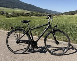 City bike Kristall shimano nexus 