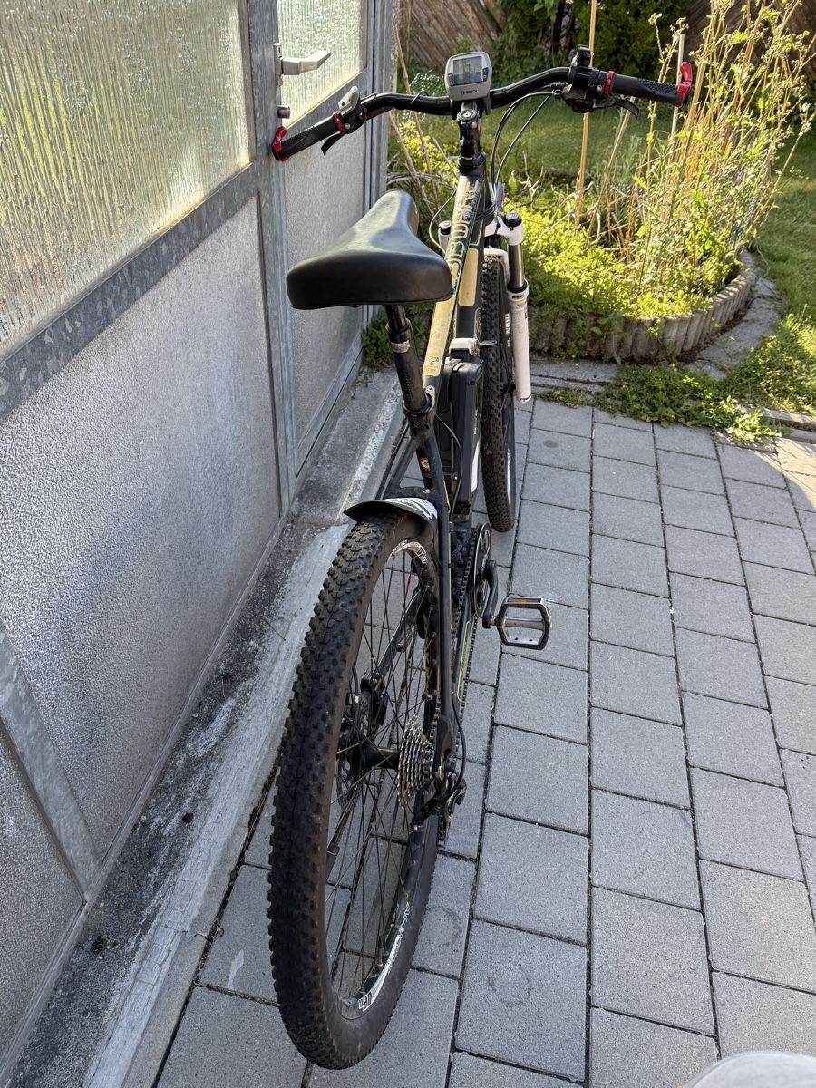 Bosch Biciclette: Whistle E-Bike mit Bosch Motor  – Usato da Oberentfelden venduto da speed_71 8