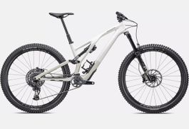 Specialized Stumpjumper EVO Expert Carbon S4 (2023) – Top Zu
