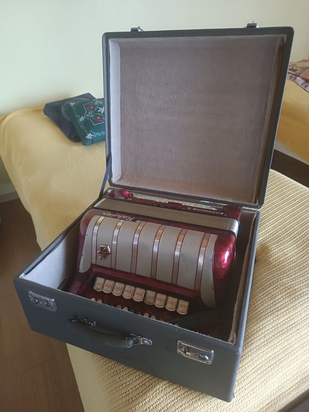 Hohner Strumenti musicali: Hohner Accordina III de Luxe – Usato da Borex venduto da Vince24 1