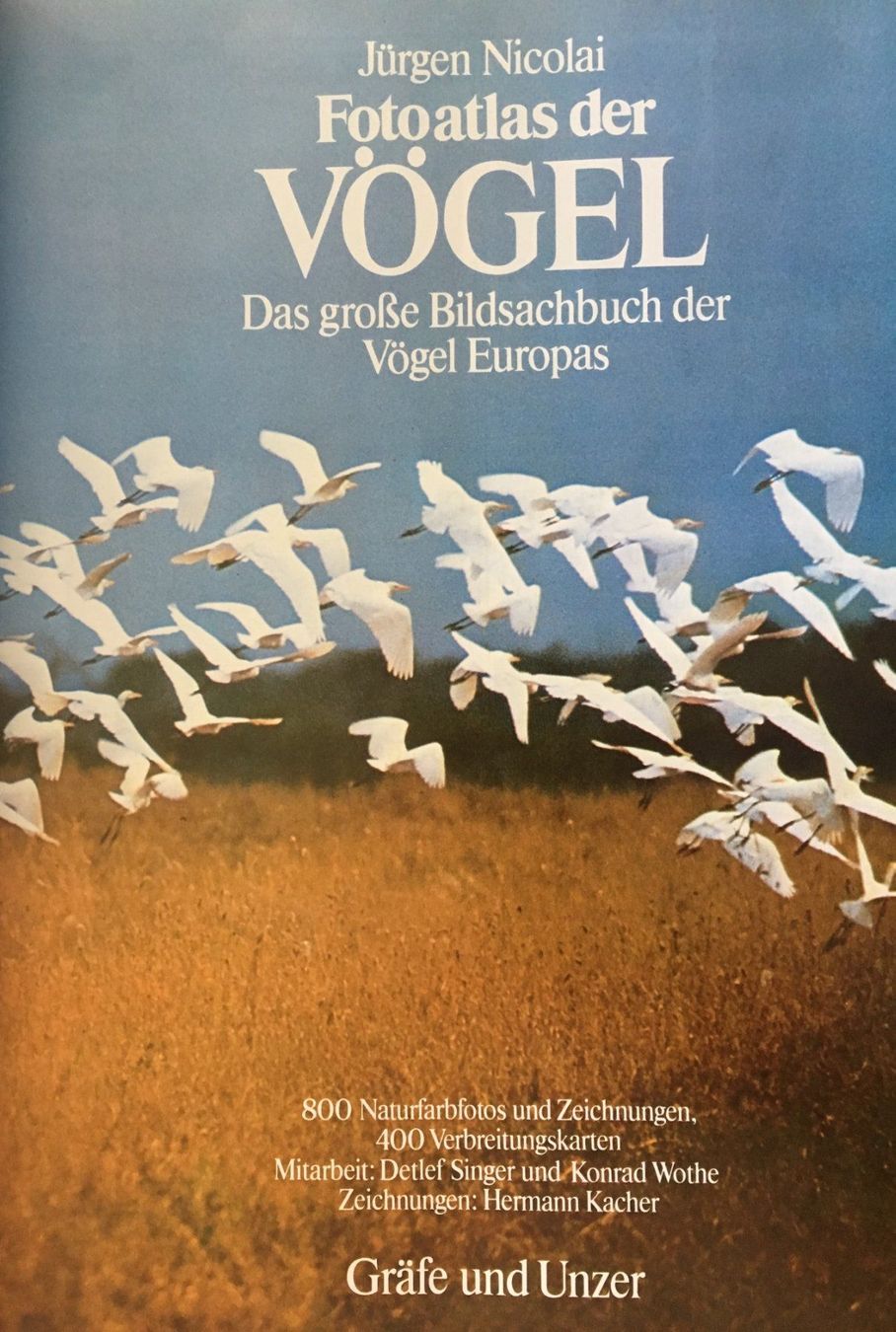Libri: Fotoatlas der Vögel – Nuovo (secondo la descrizione) da Zürich venduto da Buechi49 1