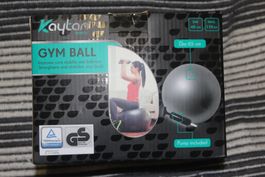 Gymnastik ball 65cm mit Pumpe Fitnessball Sitzball Sitzball