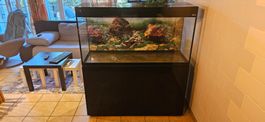 aquarium