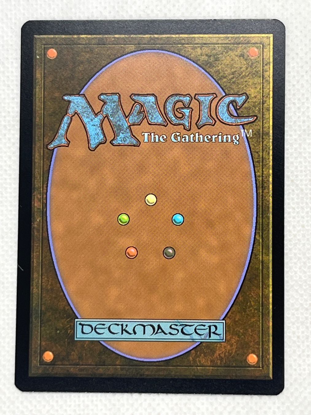 Magic The Gathering Carte collezionabili: MTG Hungry Ridgewolf VOW 161 Englisch Common – Usato da Hinterkappelen venduto da Kim1992 1